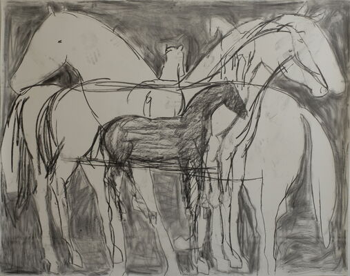 horses, 2013, charcoal on paper, 148x170
