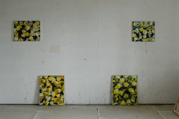 Atelierimpressionen aus Jens des Schweizer Kunstmalers Willi Müller